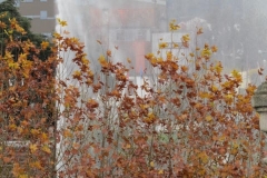 20161126_084